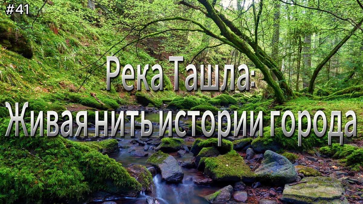 Смотрите видео сюжет в конце