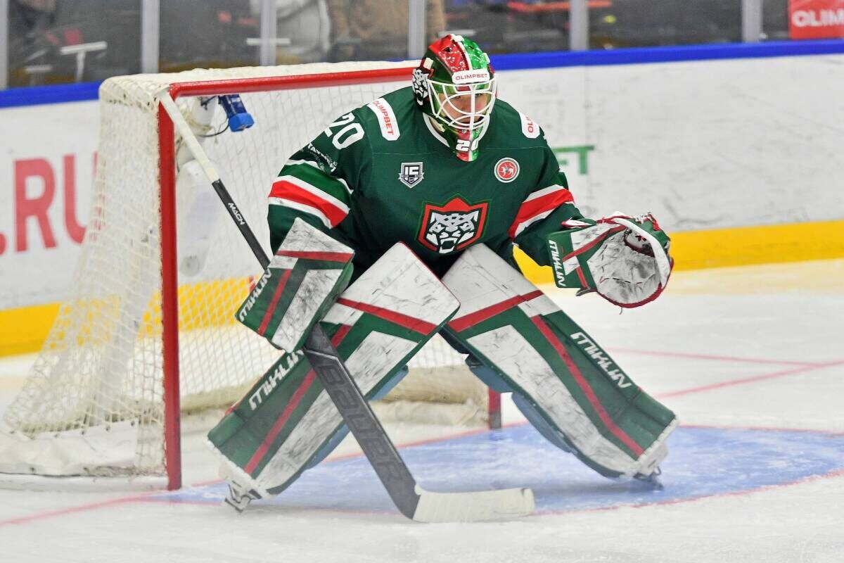 Фото: bars.ak-bars.ru