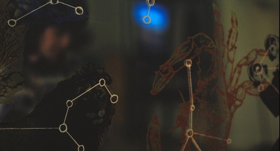    Vadim Nekrasov/Russian Look / www.globallookpress.com