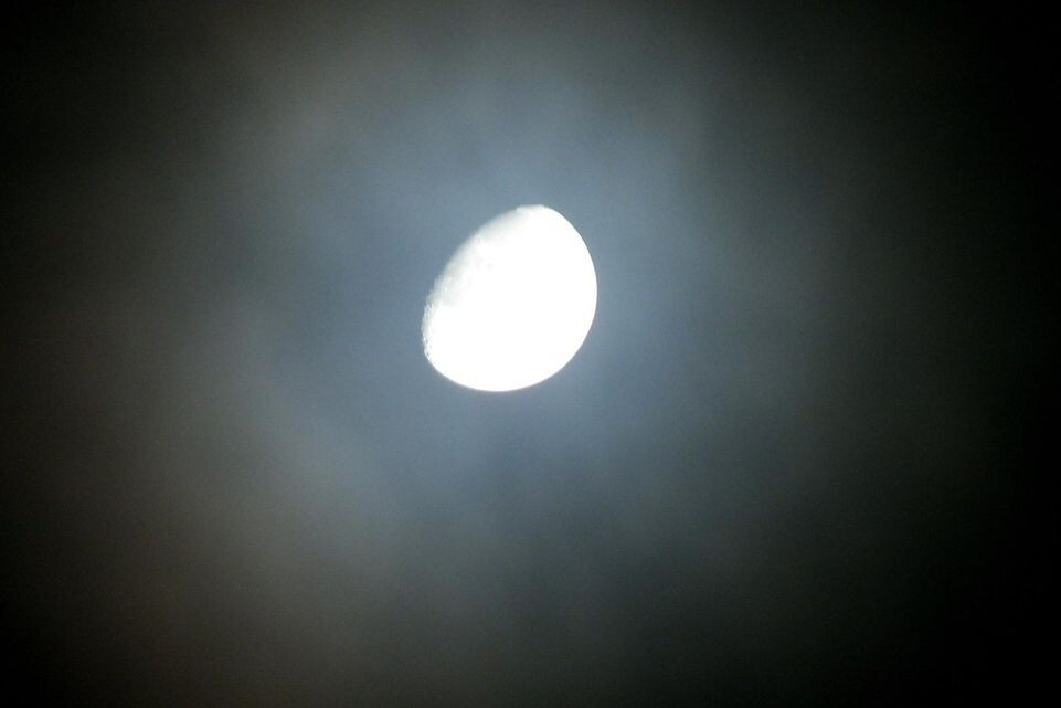    Victor Lisitsyn, Виктор Лисицын/Global Look Press / www.globallookpress.com