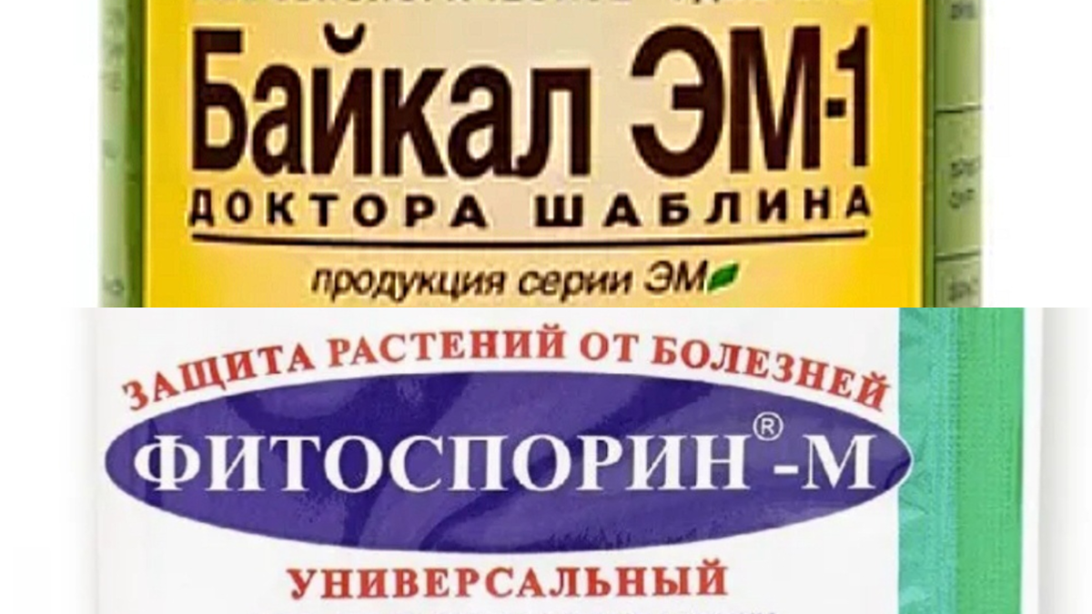 Фотоколлаж. Био-препараты для подготовки грядки