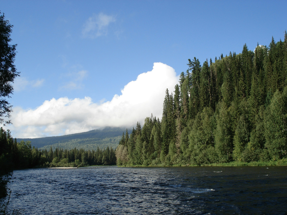 Автор фото Max Sudyin на Unsplash