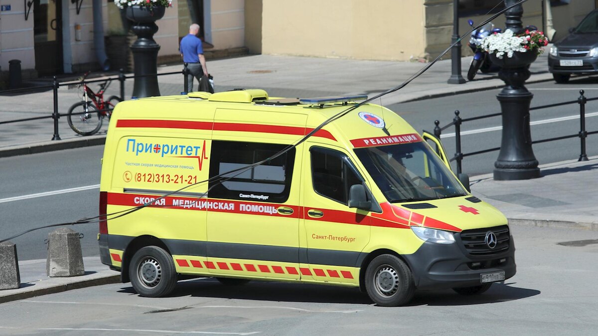    Фото: Maksim Konstantinov/globallookpress.com