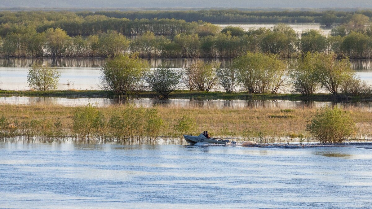    Фото: Фёдор Воронов / «Ямал-Медиа»