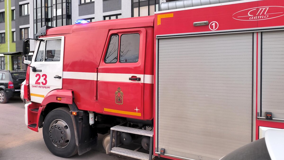    Фото: Maksim Konstantinov/globallookpress.com