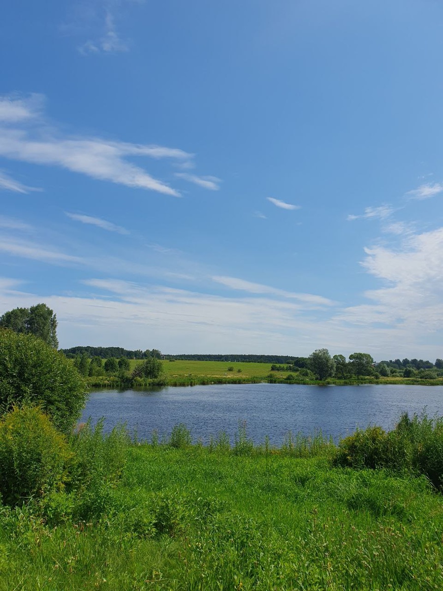 Прогноз на август 2025. И ближайшие полтора года - до 2027 года