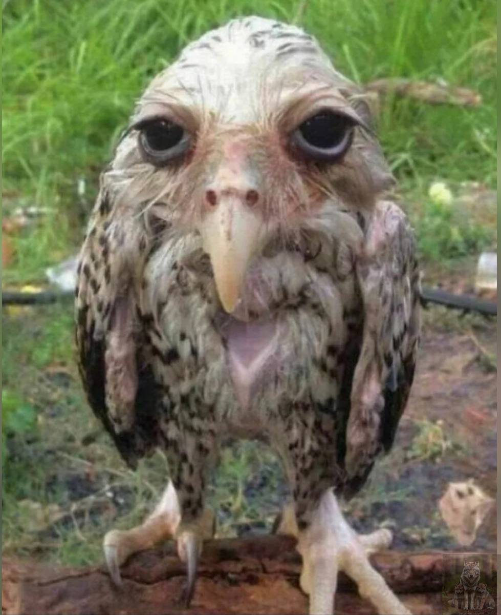 Я же все равно самая красивая