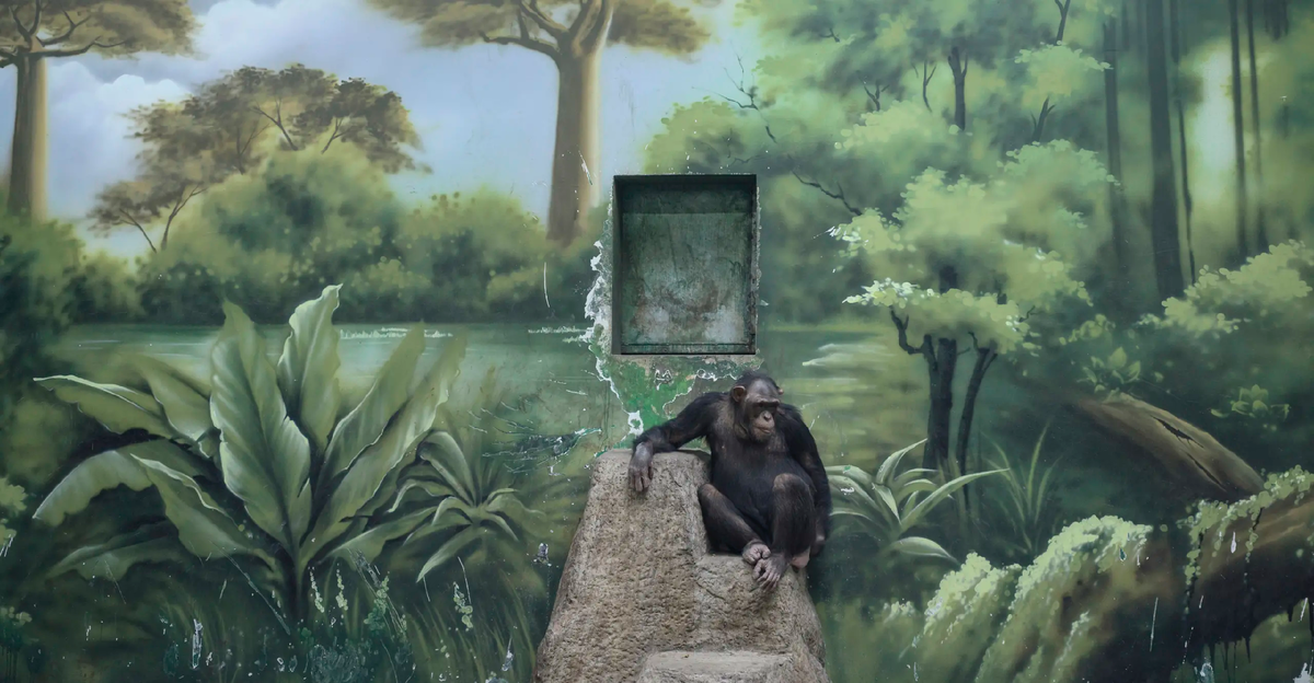 Фото: thephotographersgallery.org.uk