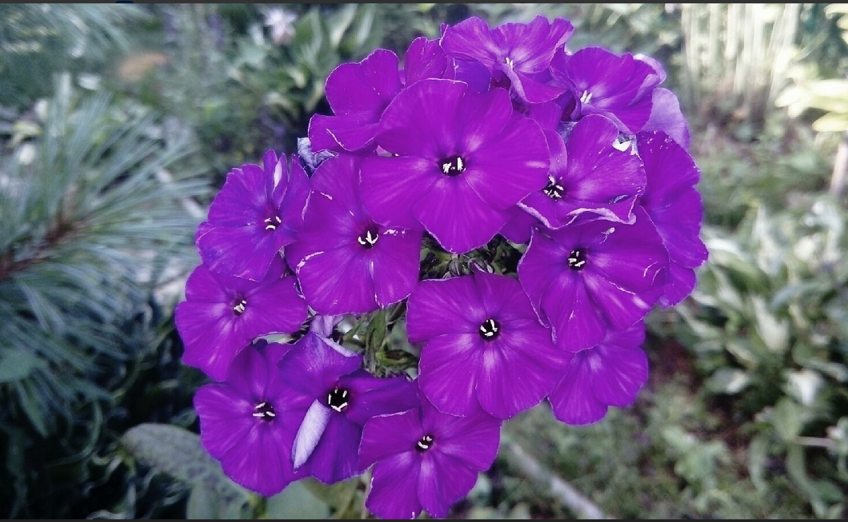 Синее Море вечером, на деле он не чернильный, более синий