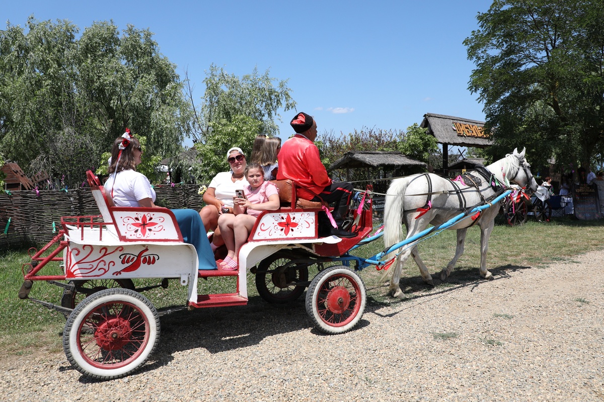    Владимир Аносов/РГ