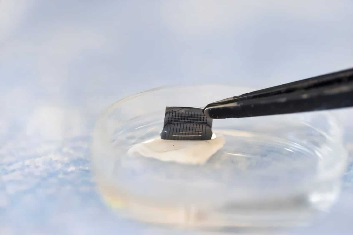    В США создали тест для самостоятельной диагностики меланомы / © Scott M. Smith, Biosensors and Bioelectronics