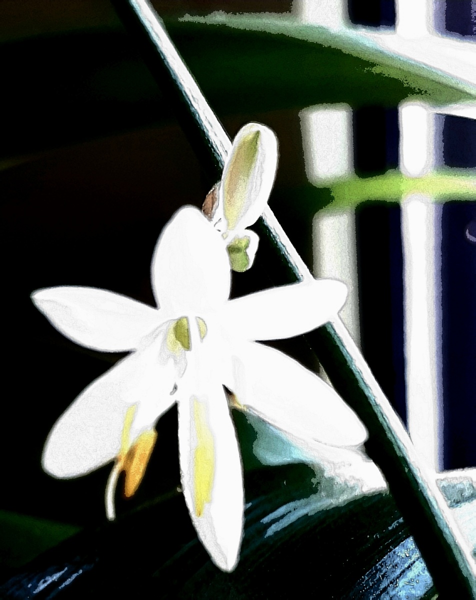 Фото автора 26.07.2025г.