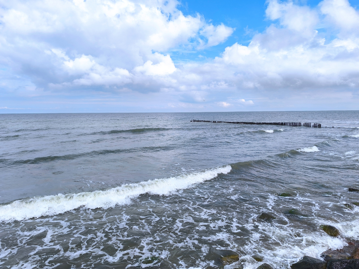 Все фото автора статьи.