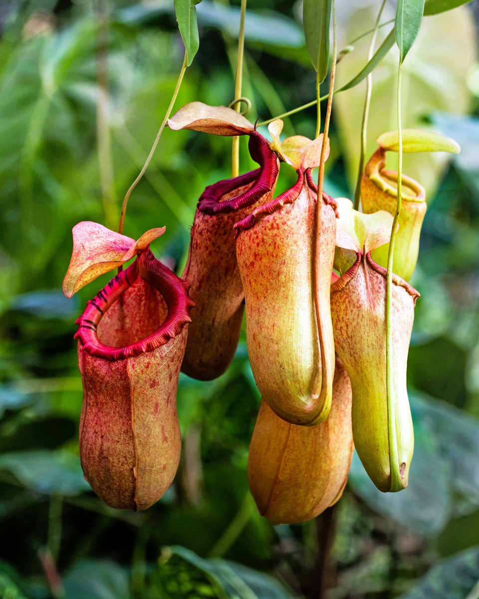 Фотография: David Clode on Unsplash