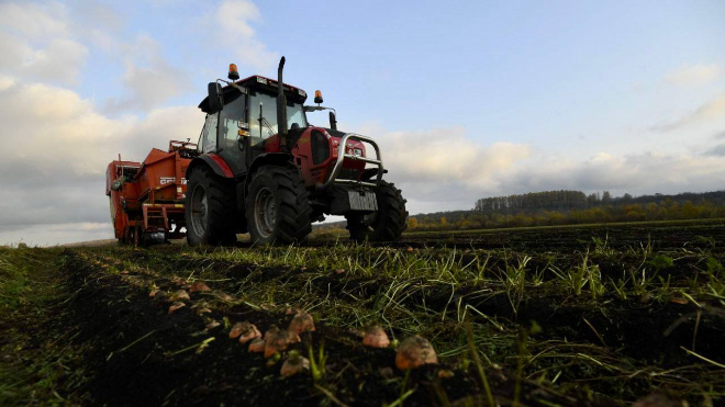 Фото: Телеграм-канал губернатора Ленобласти Александра Дрозденко