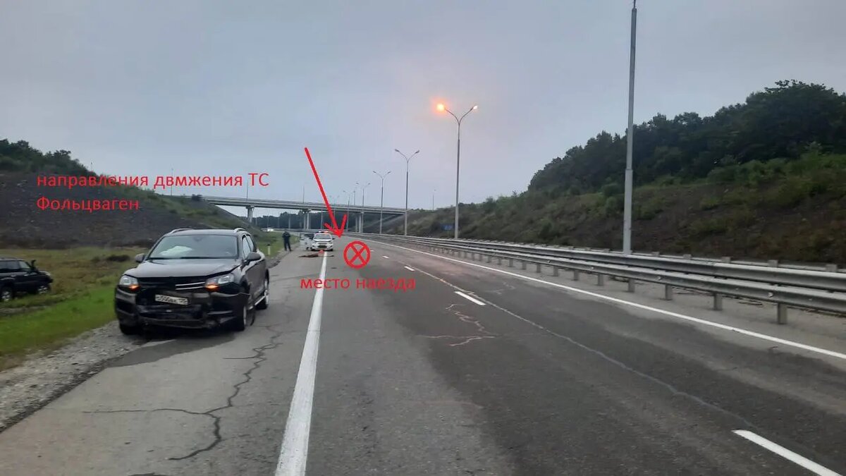    Фото: пресс-служба УМВД по Приморскому краю