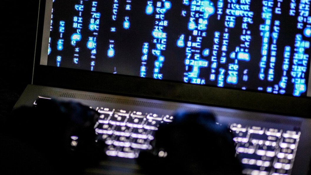    фото: Lantyukhov Sergey/Globallookpress