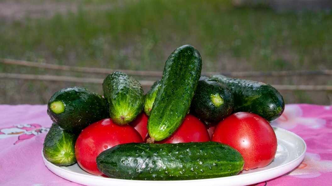    Светлана Возмилова/Global Look Press