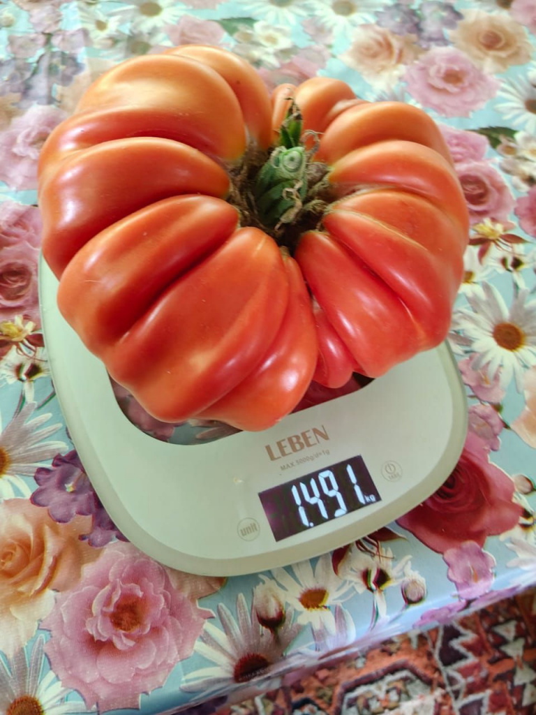    9b8670e0-a848-49c2-a2ad-62373636ff63