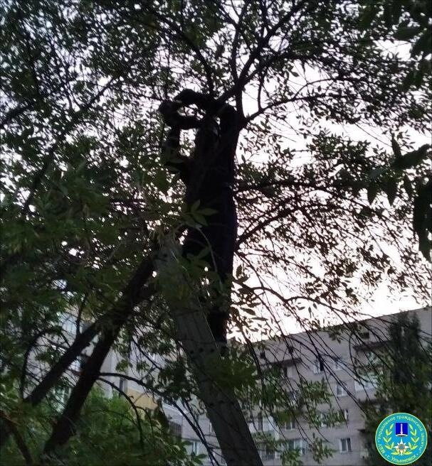    Фото: Управление гражданской защиты г. Ульяновска