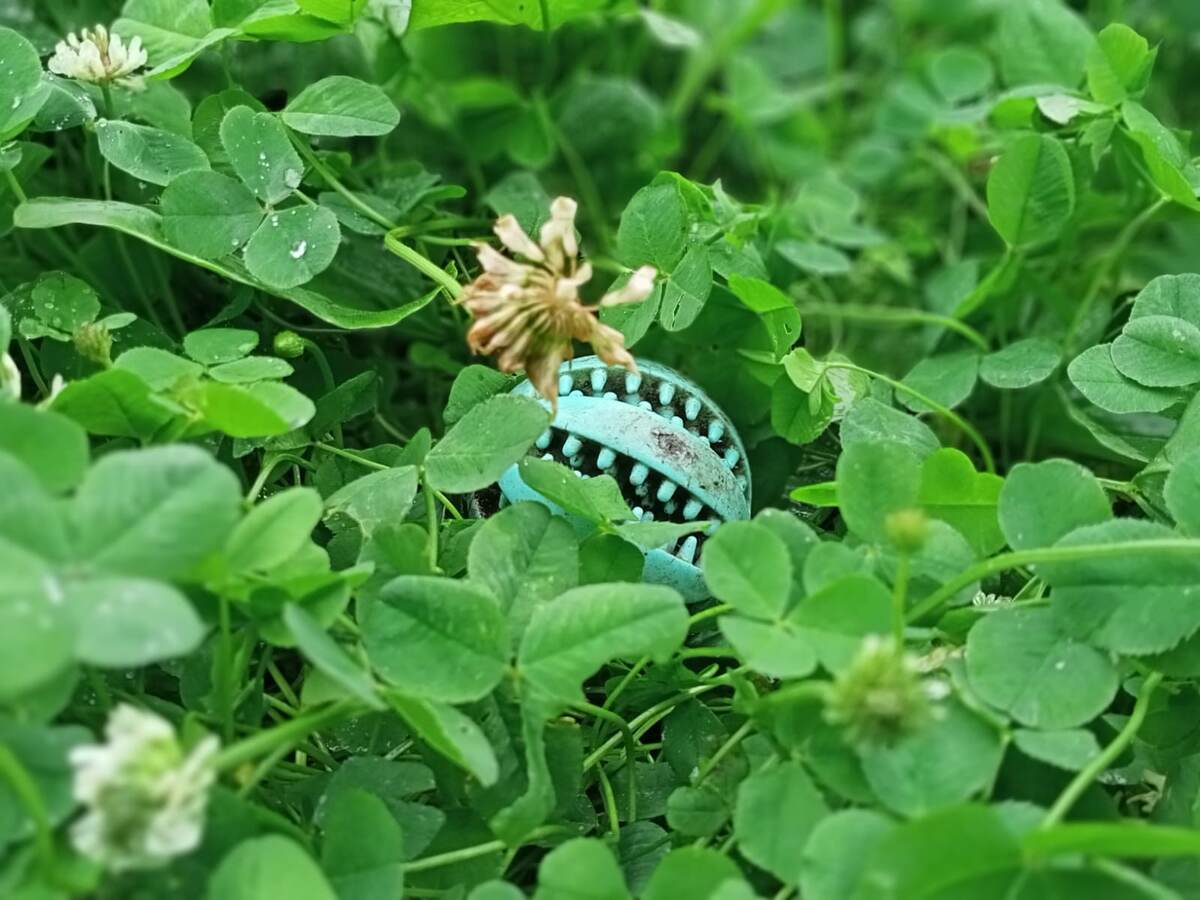 Фото не сегодняшнее.