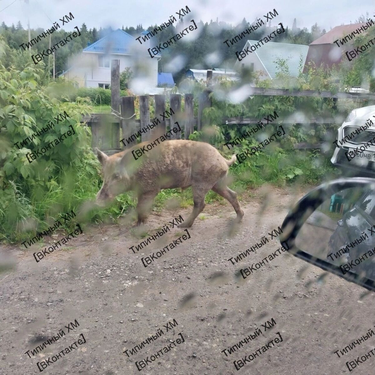     Источник: Типичный Ханты-Мансийск