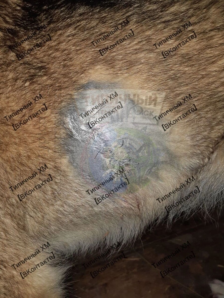     Источник: Типичный Ханты-Мансийск