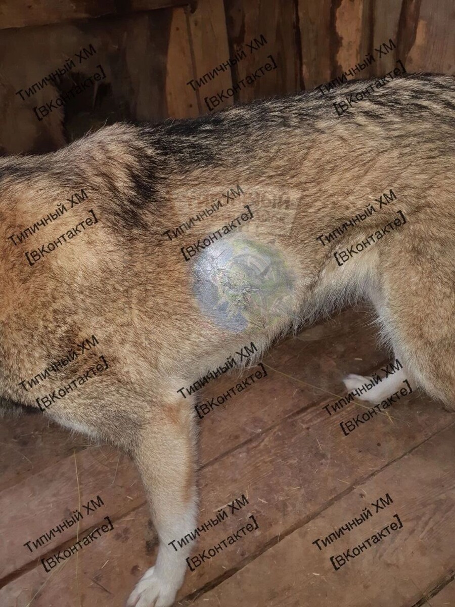     Источник: Типичный Ханты-Мансийск