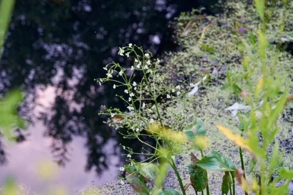    ГИМС МЧС за полчаса выявил два нарушения на водоемах Новосибирской области