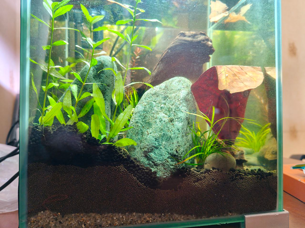 В последнем своём аквариуме как раз организовал склон.