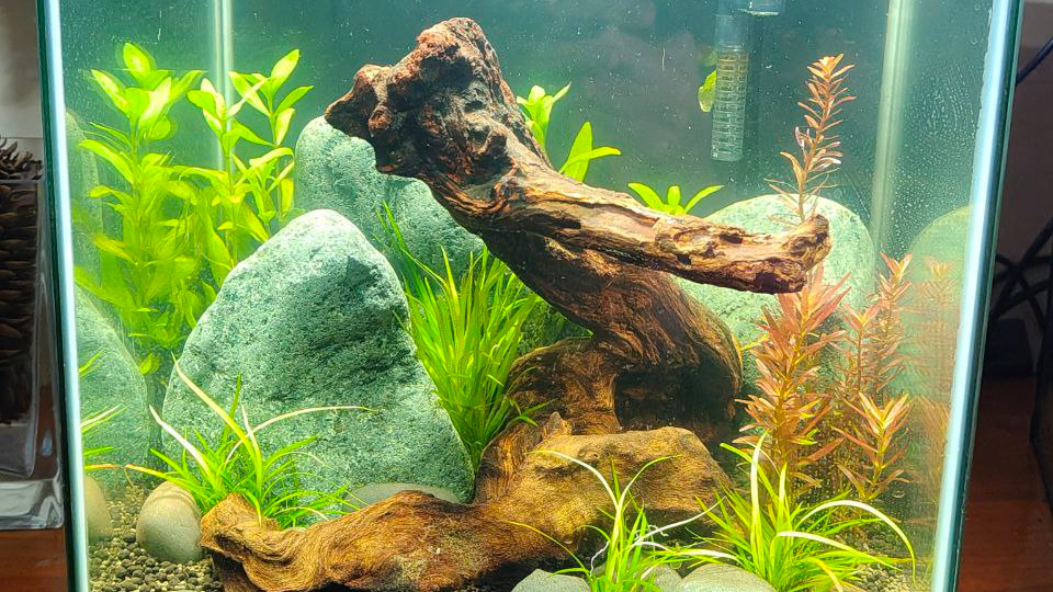 7 советов чтобы сделать КРАСИВЫЙ АКВАРИУМ. Секреты дизайна!