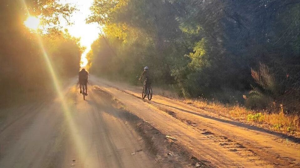     Источник: novostivolgograda.ru