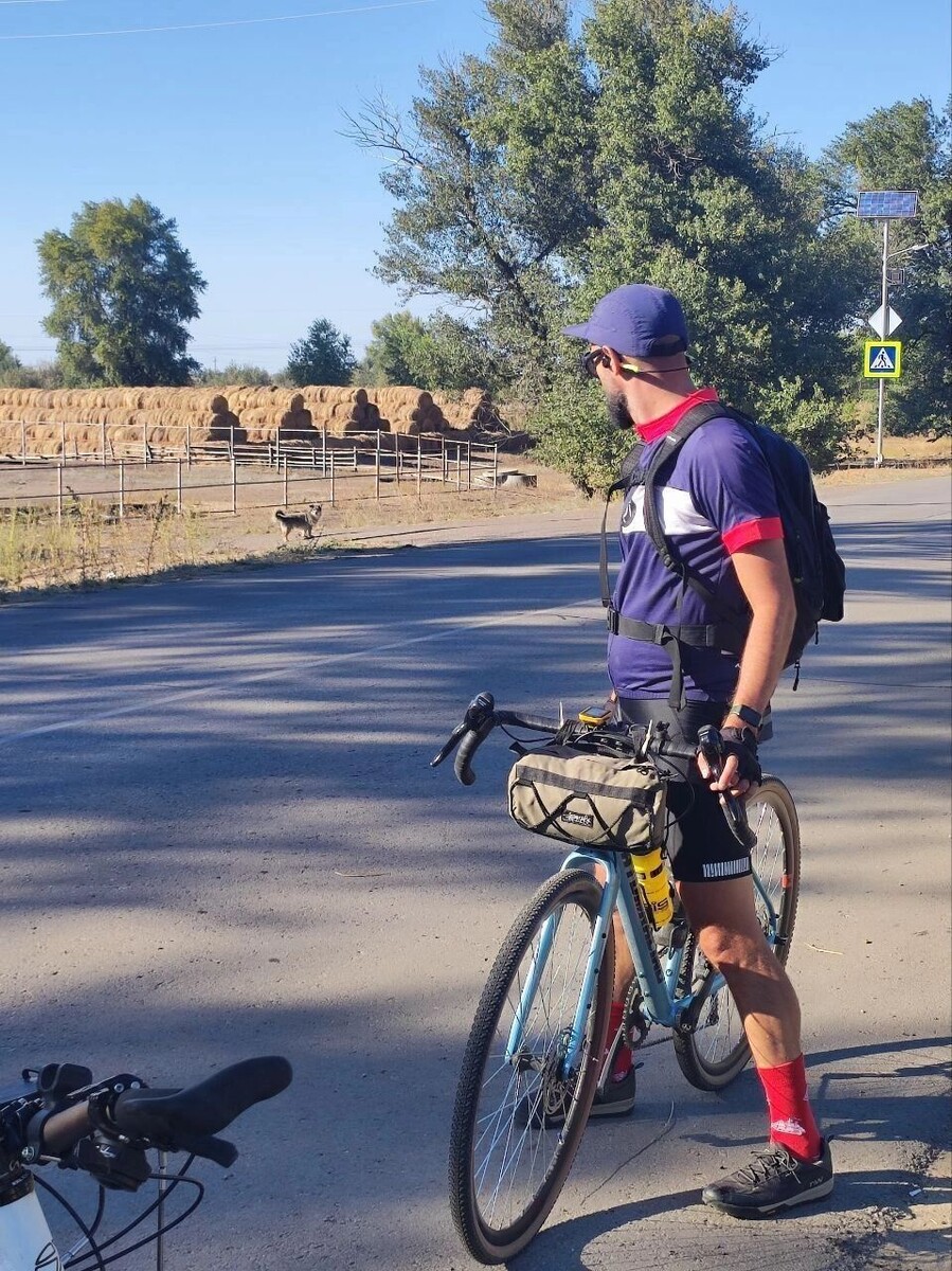     Источник: novostivolgograda.ru