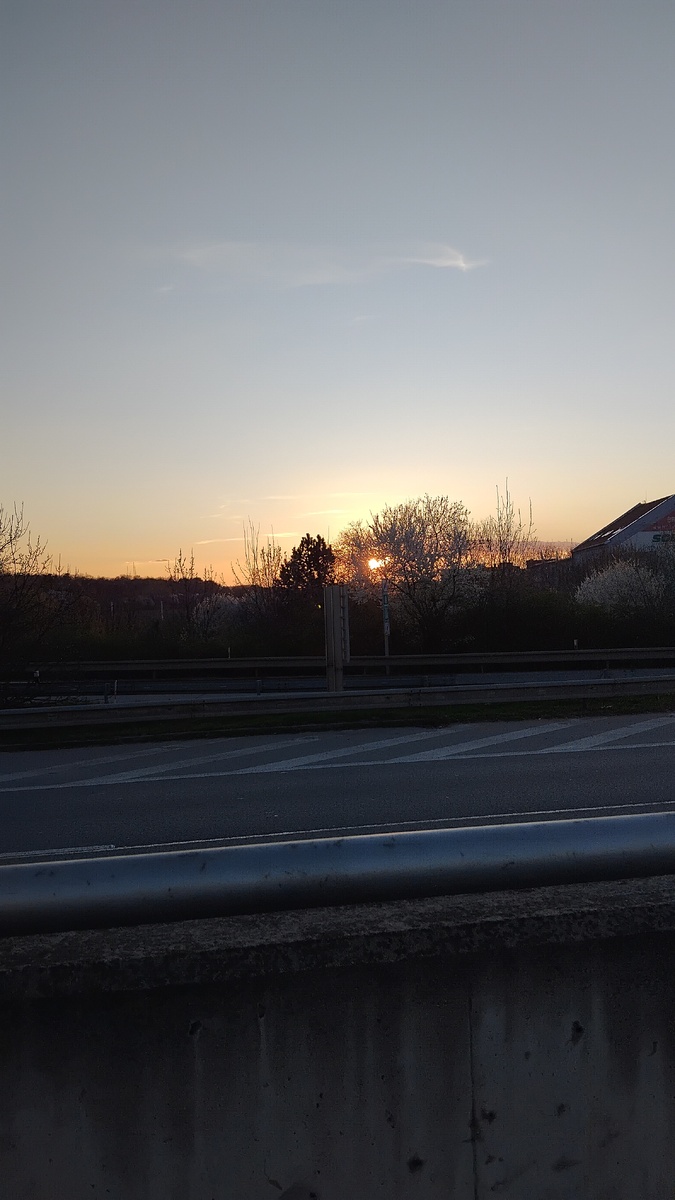 Личное фото автора 