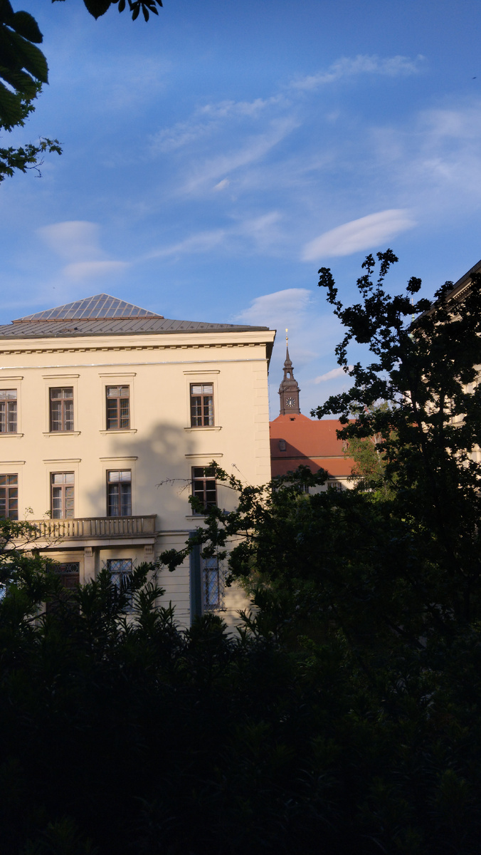 Личное фото автора 