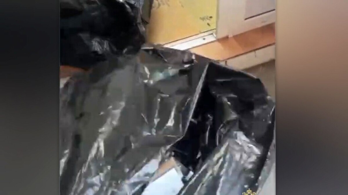    Фото: t.me/mvd_23