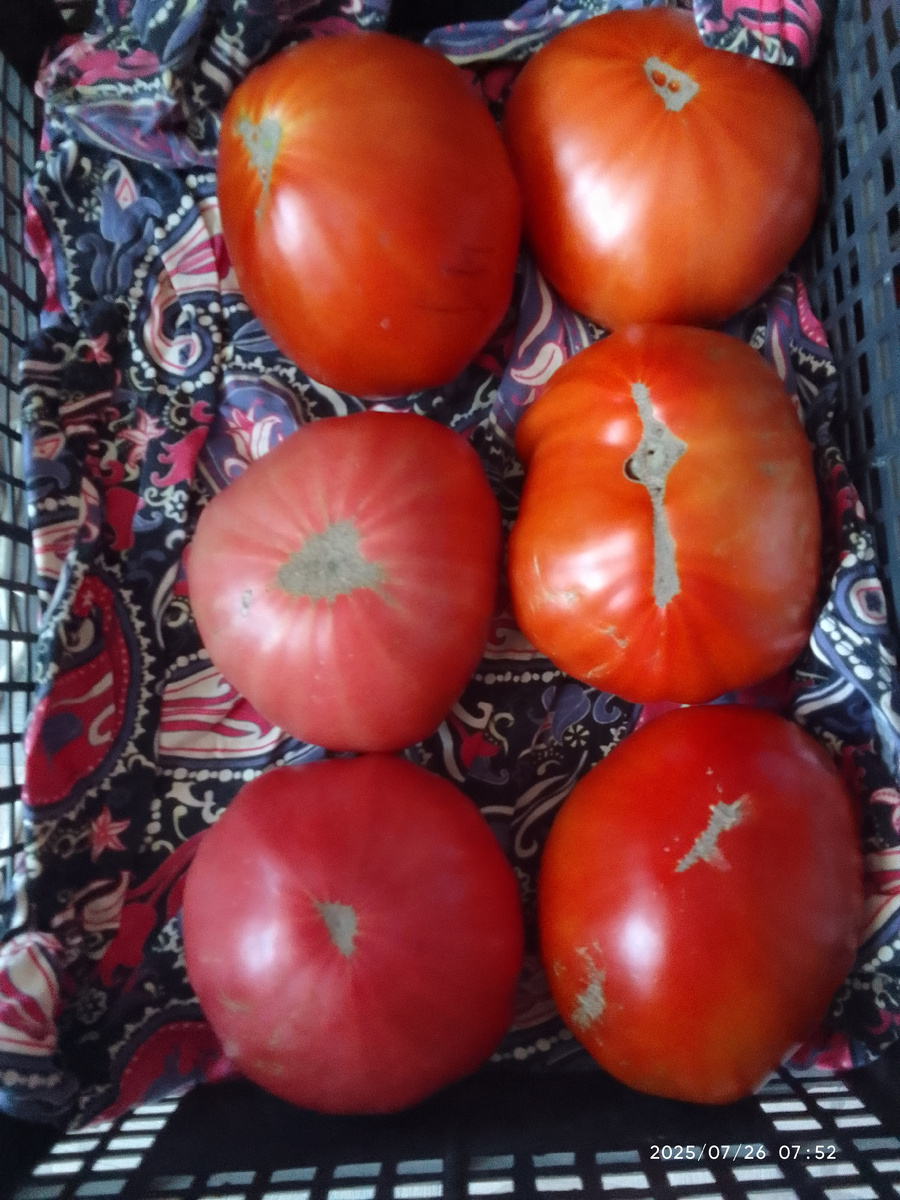 Фото из моей галлереи