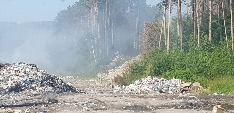    Ливень притушил свалку мусора в МедвежьегорскеИрина Меркова