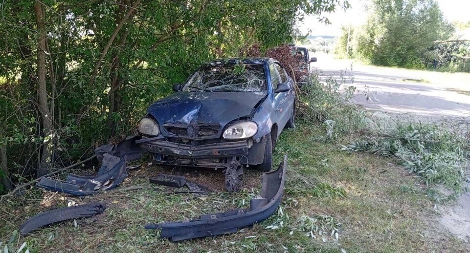    Губернатор Белгородской области Вячеслав Гладков / Telegram