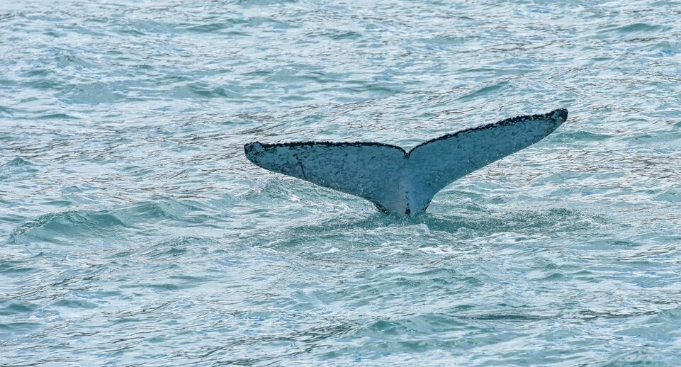    Guo Lei/XinHua / www.globallookpress.com