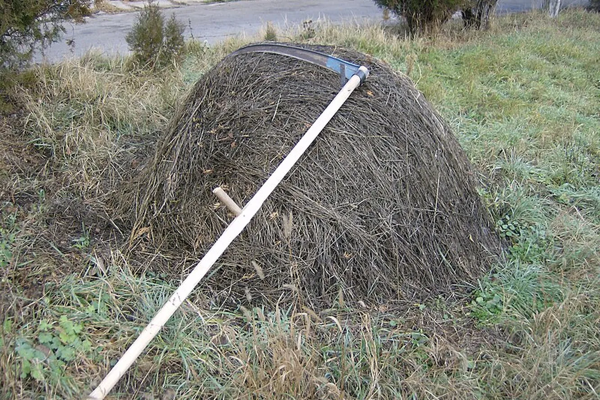 Фото: Izvora — Wikipedia