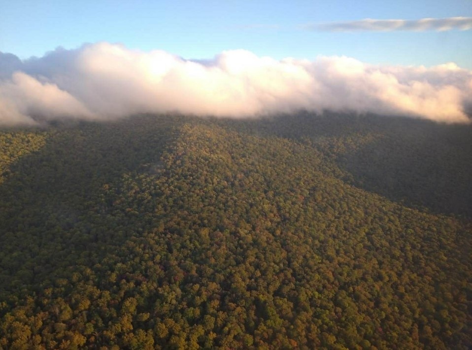    Фото: Russian Emergencies Ministry/via/Globallookpress