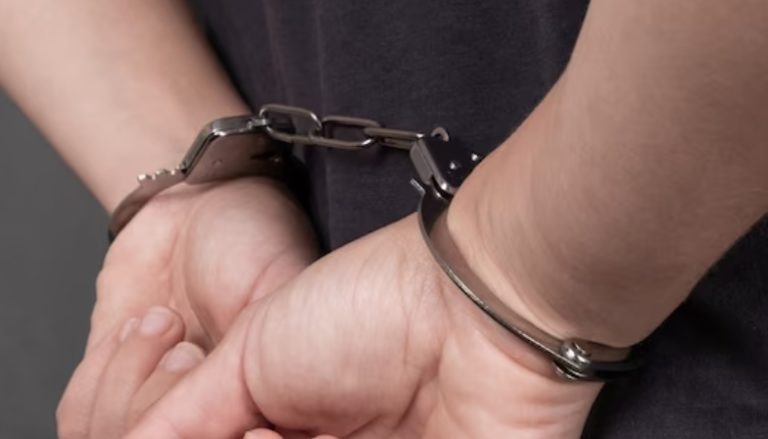    Фото: ru.freepik.com Александра Горохова