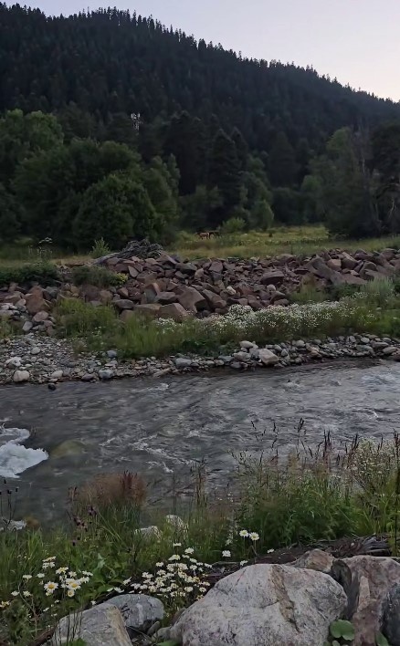 Фото Анастасии К.