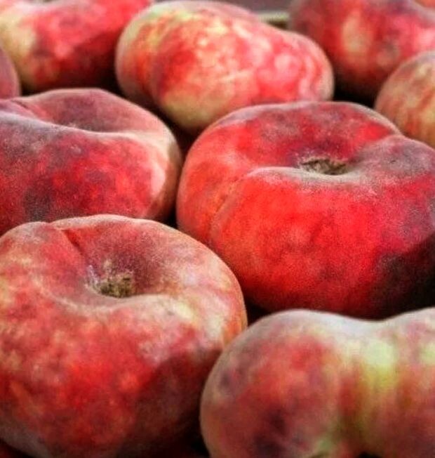 Персики плоские