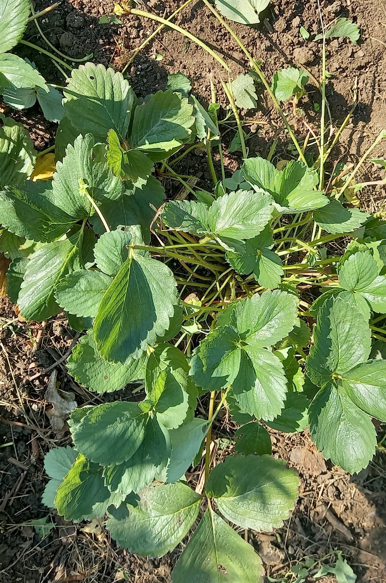 пространство освободили, работать легко