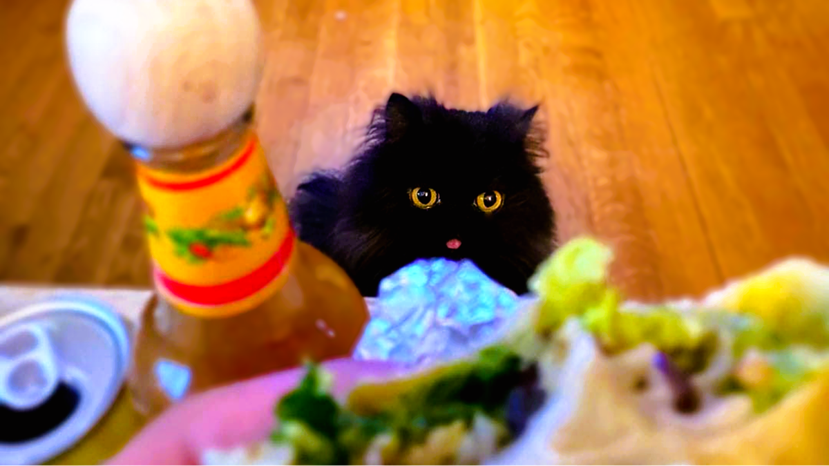 Привет! Хочешь узнать мои планы на сегодняшний вечер?! ЕЩЕ фото --->>