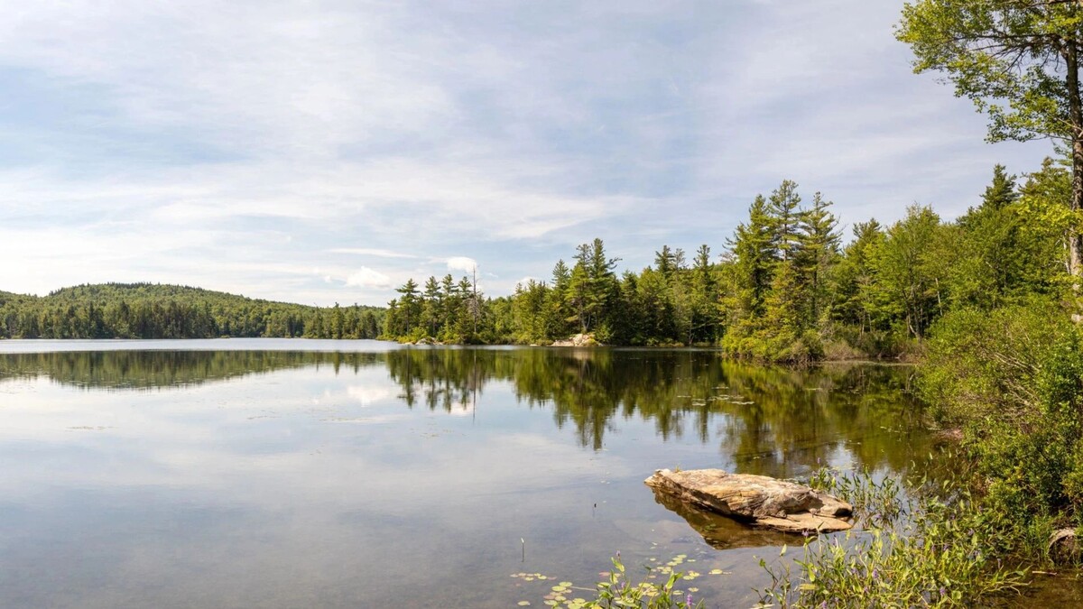    Фото: Eric Dale/Shutterstock/Fotodom