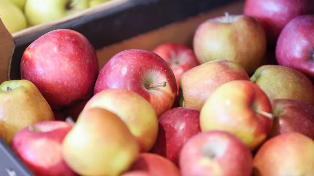    Belkin Alexey/news.ru/Globallookpress