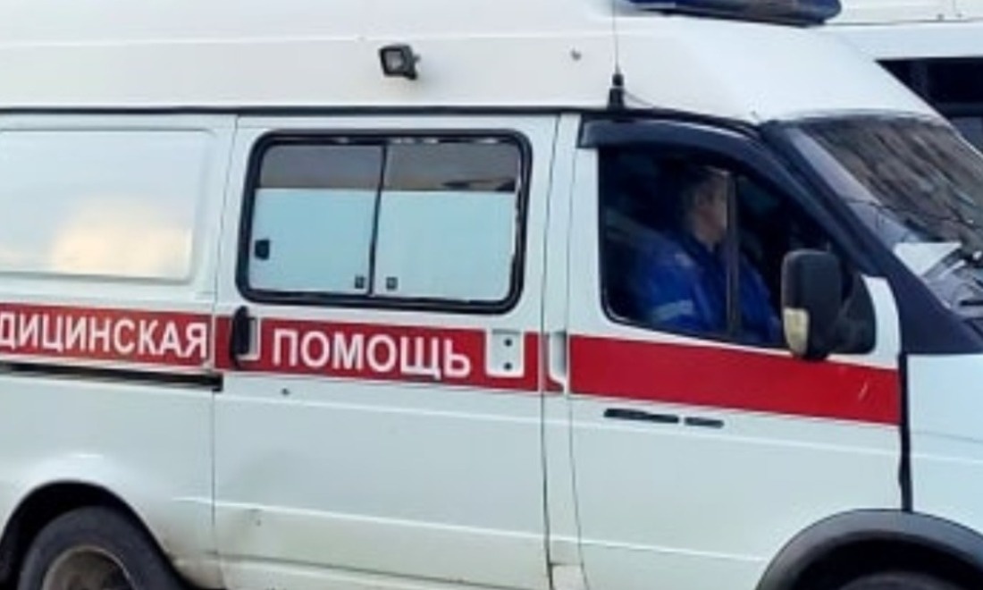    Фото: телеграм-канал "Вкратце Новосибирск"